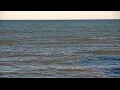 Webcam Algoma, Wisconsin