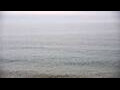 Webcam Algoma, Wisconsin