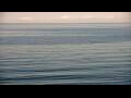 Webcam Algoma, Wisconsin