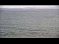 Webcam Algoma, Wisconsin