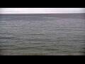 Webcam Algoma, Wisconsin