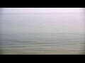 Webcam Algoma, Wisconsin