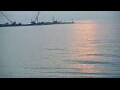 Webcam Algoma, Wisconsin