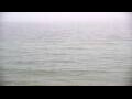 Webcam Algoma, Wisconsin