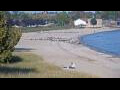 Webcam Algoma, Wisconsin