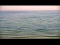 Webcam Algoma, Wisconsin