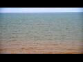 Webcam Algoma, Wisconsin