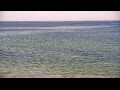 Webcam Algoma, Wisconsin
