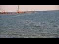 Webcam Algoma, Wisconsin