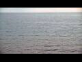Webcam Algoma, Wisconsin