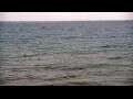 Webcam Algoma, Wisconsin