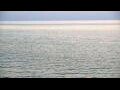Webcam Algoma, Wisconsin
