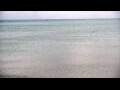 Webcam Algoma, Wisconsin