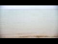 Webcam Algoma, Wisconsin