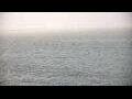Webcam Algoma, Wisconsin