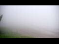 Webcam Algoma, Wisconsin