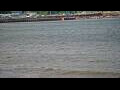 Webcam Algoma, Wisconsin