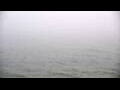 Webcam Algoma, Wisconsin