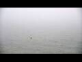 Webcam Algoma, Wisconsin