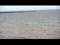 Webcam Algoma, Wisconsin