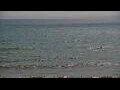 Webcam Algoma, Wisconsin