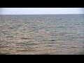 Webcam Algoma, Wisconsin