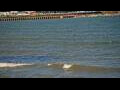 Webcam Algoma, Wisconsin