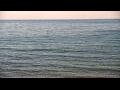 Webcam Algoma, Wisconsin