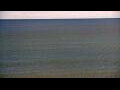 Webcam Algoma, Wisconsin