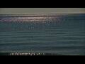 Webcam Algoma, Wisconsin