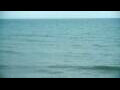 Webcam Algoma, Wisconsin