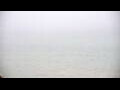 Webcam Algoma, Wisconsin