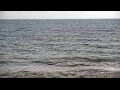 Webcam Algoma, Wisconsin