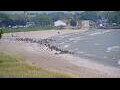 Webcam Algoma, Wisconsin