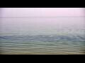 Webcam Algoma, Wisconsin