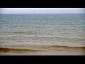 Webcam Algoma, Wisconsin