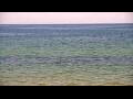 Webcam Algoma, Wisconsin
