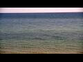 Webcam Algoma, Wisconsin