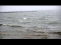 Webcam Algoma, Wisconsin