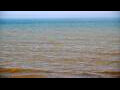 Webcam Algoma, Wisconsin