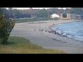 Webcam Algoma, Wisconsin