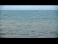 Webcam Algoma, Wisconsin