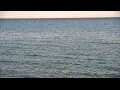 Webcam Algoma, Wisconsin