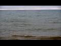 Webcam Algoma, Wisconsin