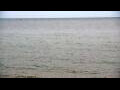 Webcam Algoma, Wisconsin