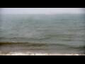 Webcam Algoma, Wisconsin