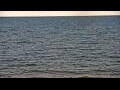 Webcam Algoma, Wisconsin