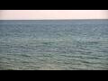 Webcam Algoma, Wisconsin