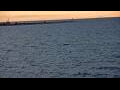 Webcam Algoma, Wisconsin