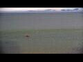 Webcam Algoma, Wisconsin